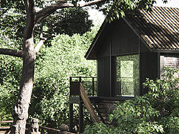 wood house
