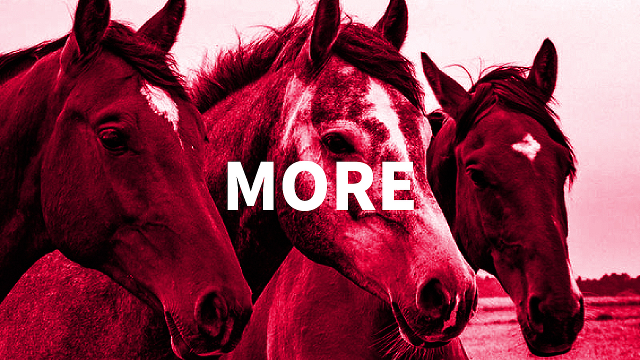 《百马汇BaimaClub》品牌升级（图ZMTIzODc4NDAw） - 品牌 - 站酷设计师园长先生原创素材 - 站酷ZCOOL