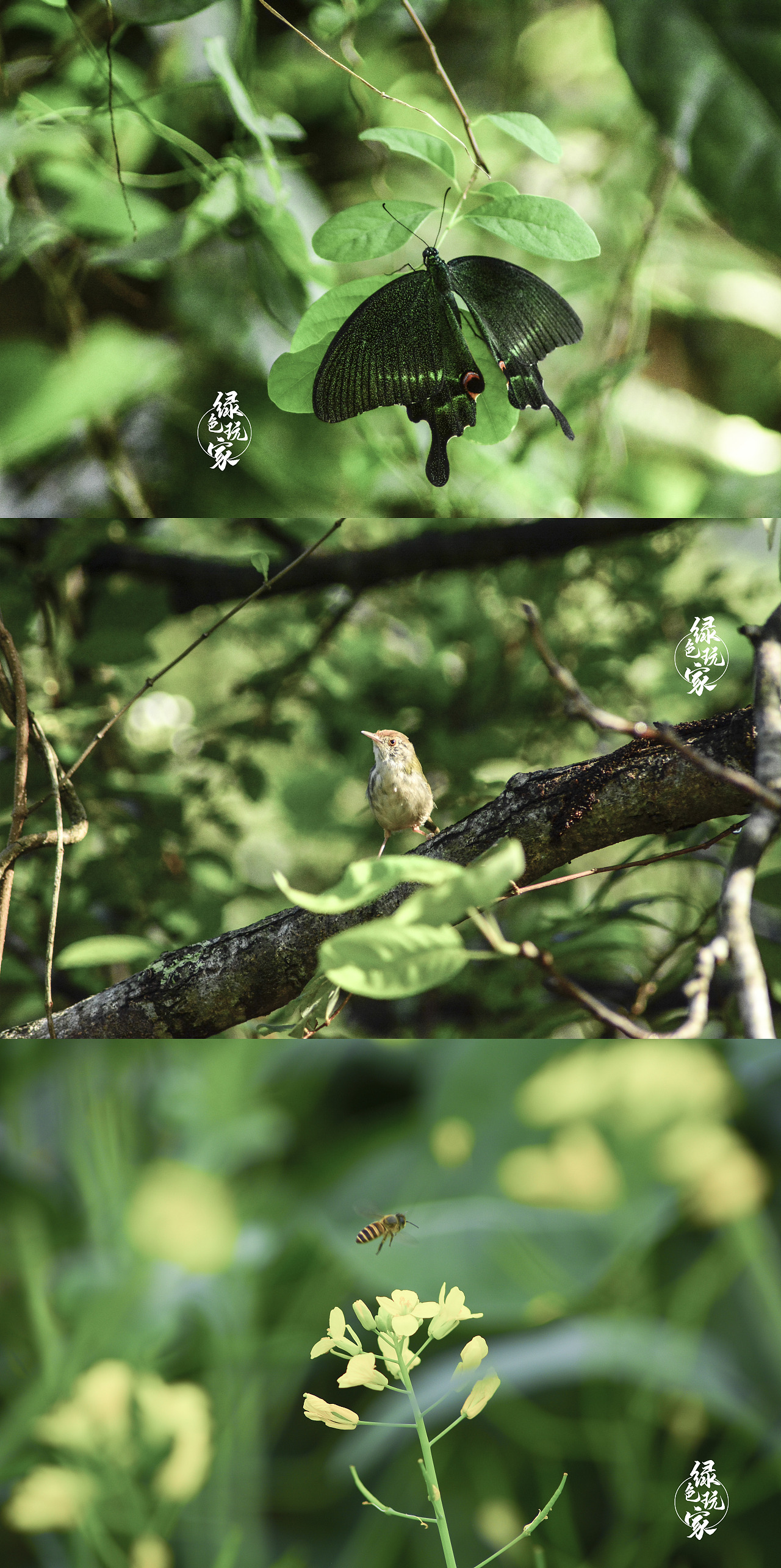 2017年×风景摄影作品鉴赏