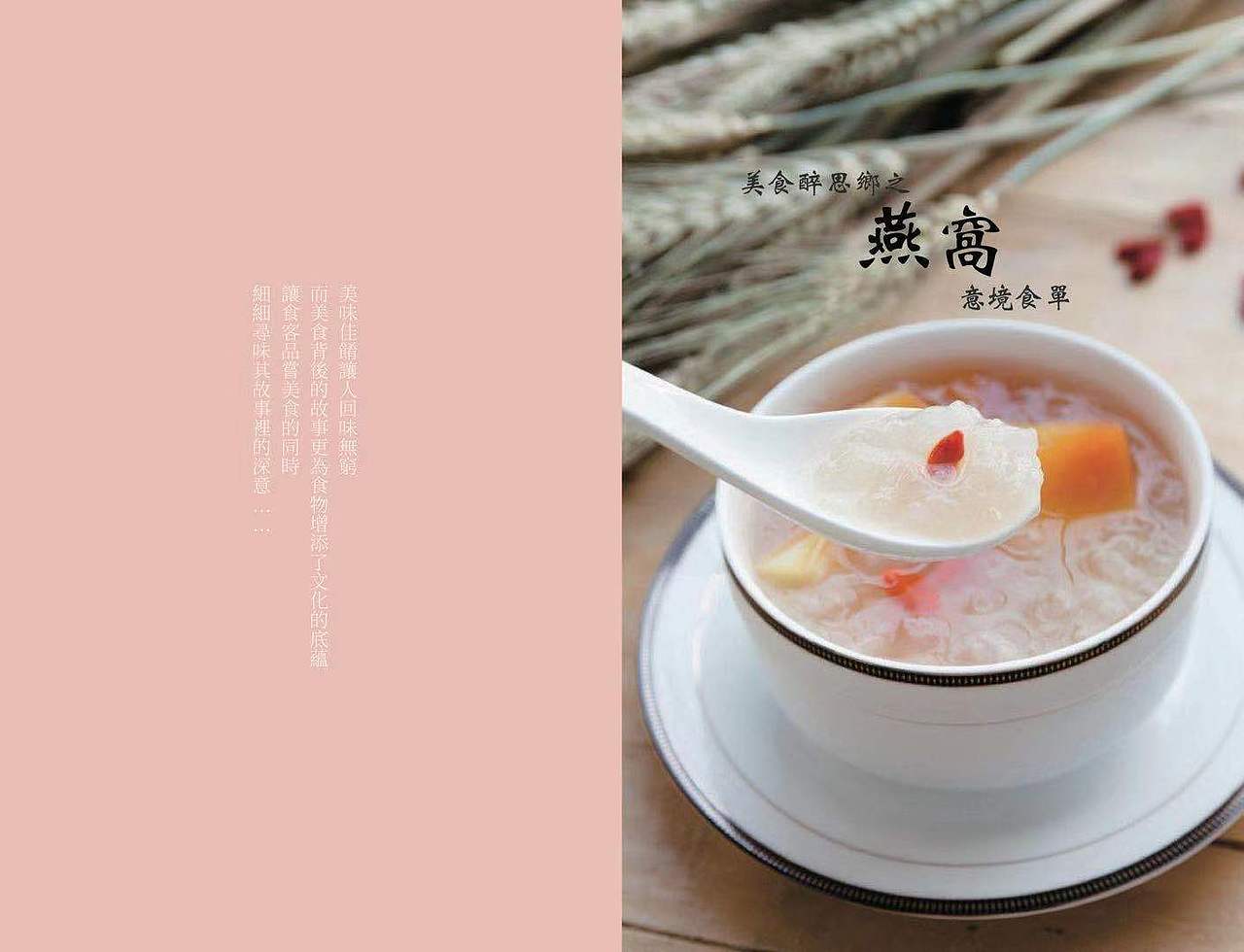 燕窝（图ZMTg3MDIxOTM2） - 书籍/画册 - 站酷设计师浅沫1原创素材 - 站酷ZCOOL