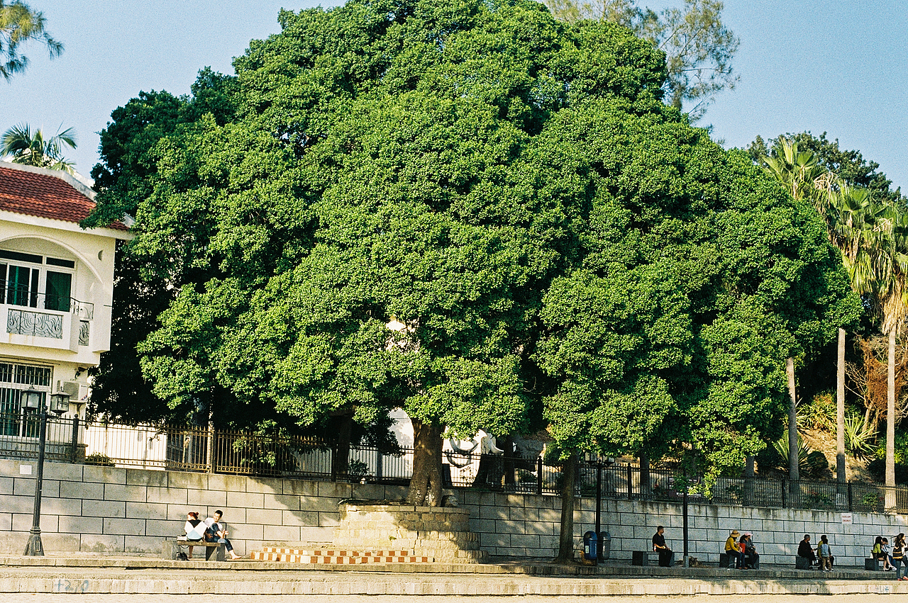 【胶片记录】和世界做邻居（图ZMjY4NzQ3Mjgw） - 人文/纪实摄影 - 站酷设计师付诗意PHOTO原创素材 - 站酷ZCOOL