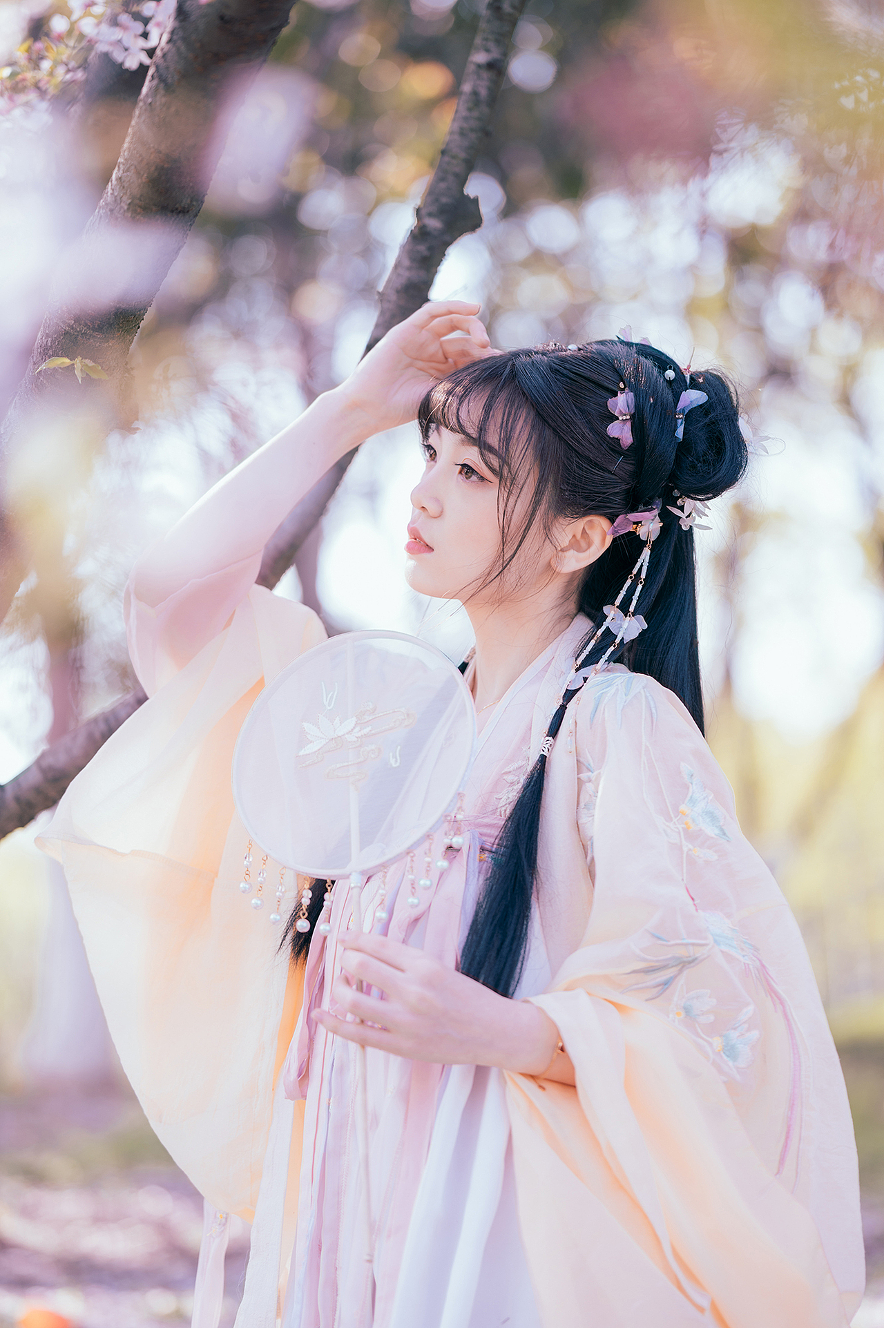 樱花落（图ZMjA0MzMxNjUy） - 人像摄影 - 站酷设计师拍照的青山原创素材 - 站酷ZCOOL