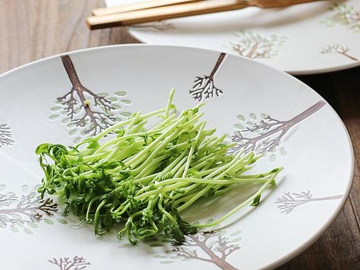 静物摄影 -日式复古餐盘