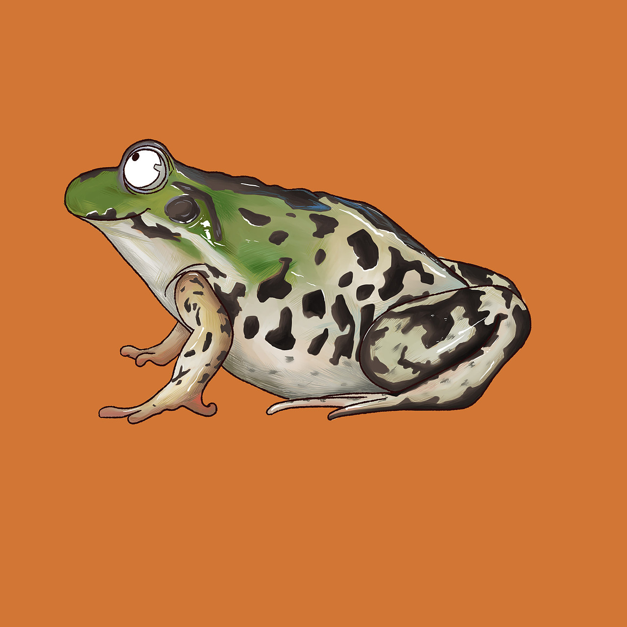 青蛙（图ZMTEzNTg0OTQw） - 创作习作 - 站酷设计师豆毛毛原创素材 - 站酷ZCOOL