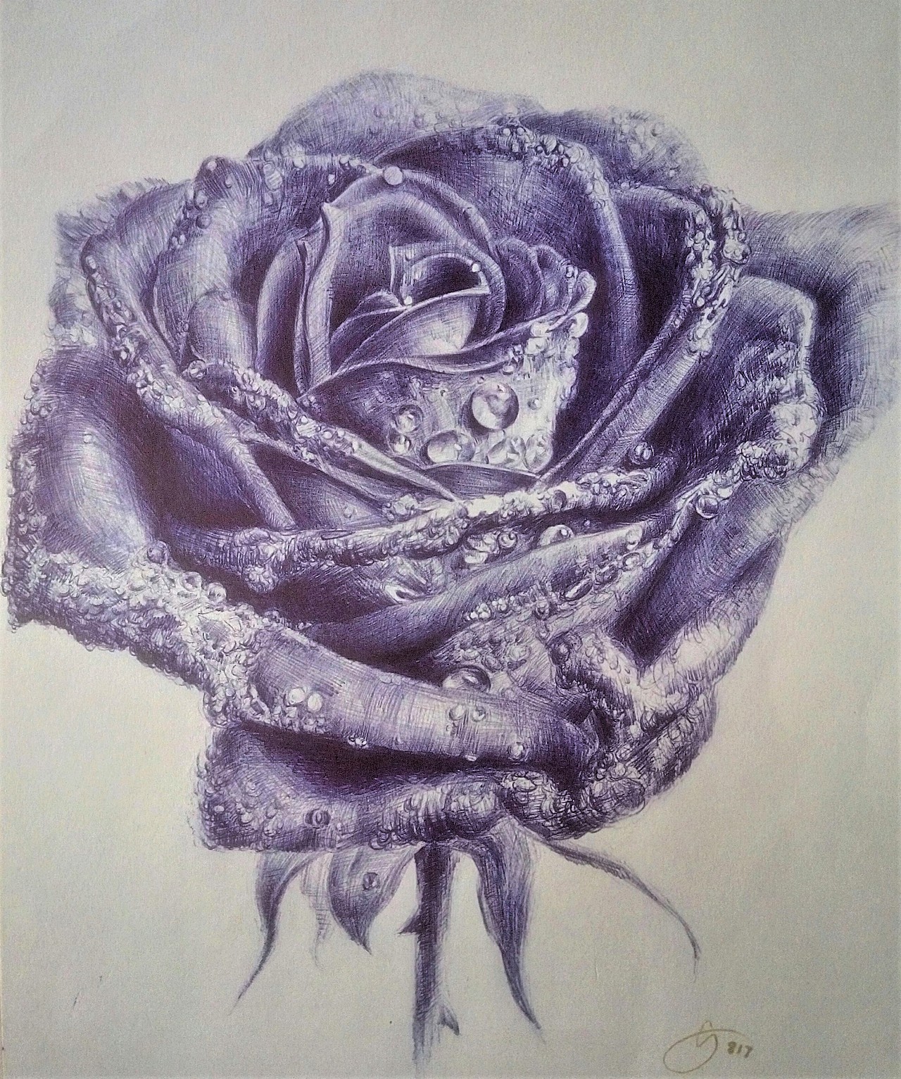 圆珠笔画手绘练习