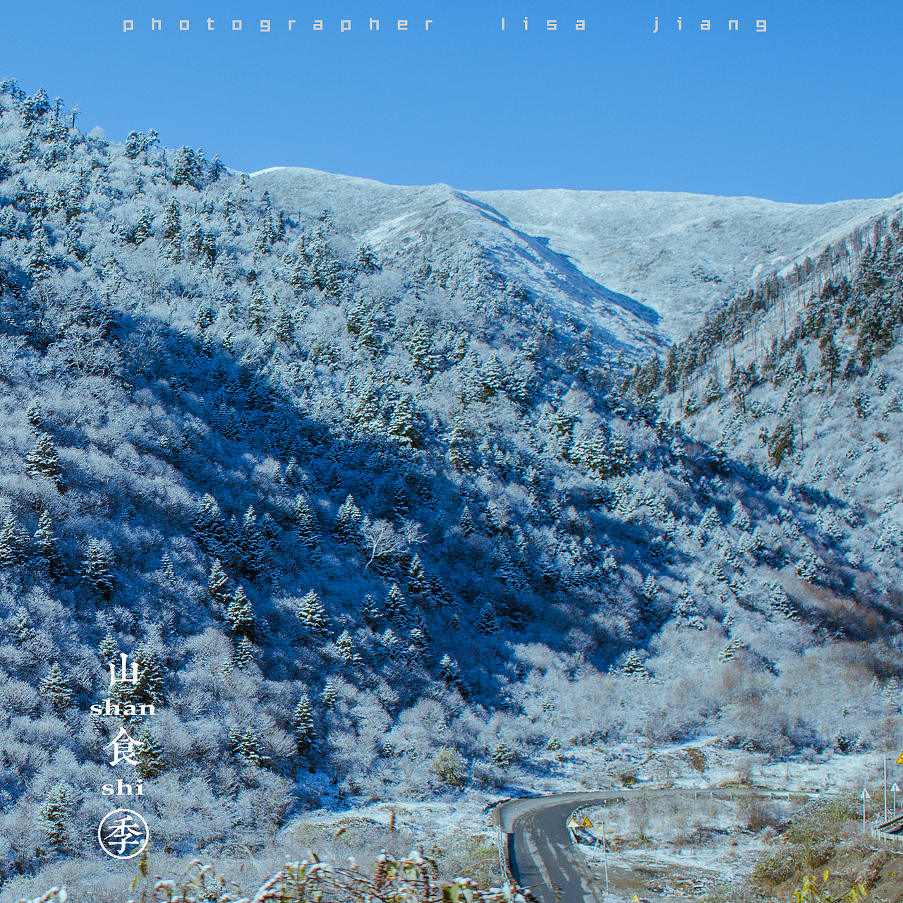 小品四季（图ZMTA4NTgyNTcy） - 产品摄影 - 站酷设计师挲lisa原创素材 - 站酷ZCOOL