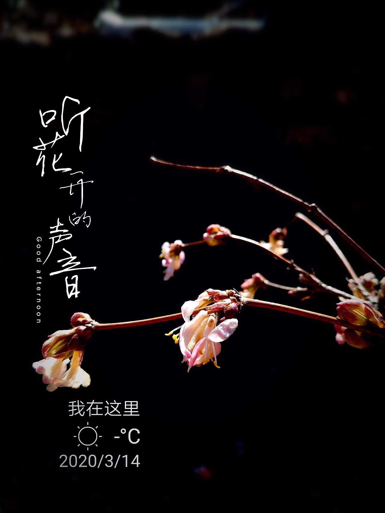 阳光明媚，万物复苏啊～（图ZMjAwMDk4NzE2） - 人文/纪实摄影 - 站酷设计师一味一真原创素材 - 站酷ZCOOL