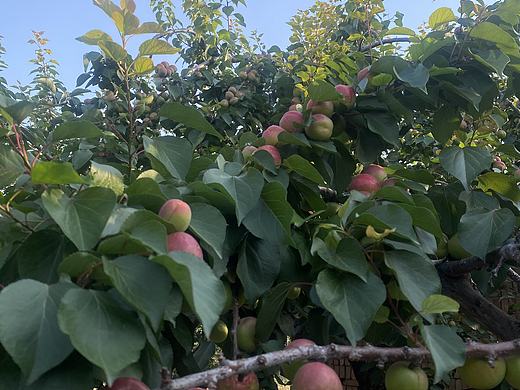 向陽而生?追光前行（個人主頁-ZNjg4NDc1ODg=） - 風光攝影 - 站酷設(shè)計師柚子910811原創(chuàng)素材 - 站酷ZCOOL