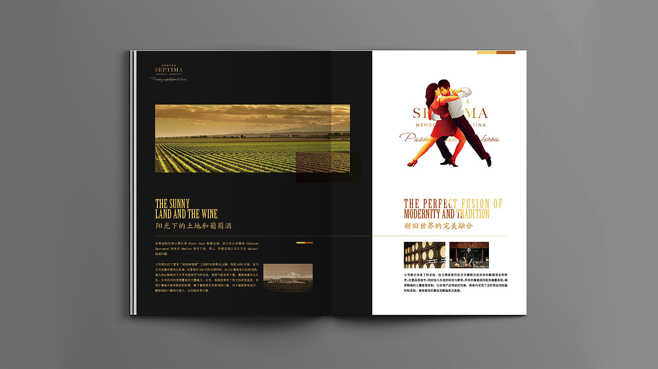 红酒画册（图ZMTM5MzgwMDcy） - 书籍/画册 - 站酷设计师wang19915218原创素材 - 站酷ZCOOL