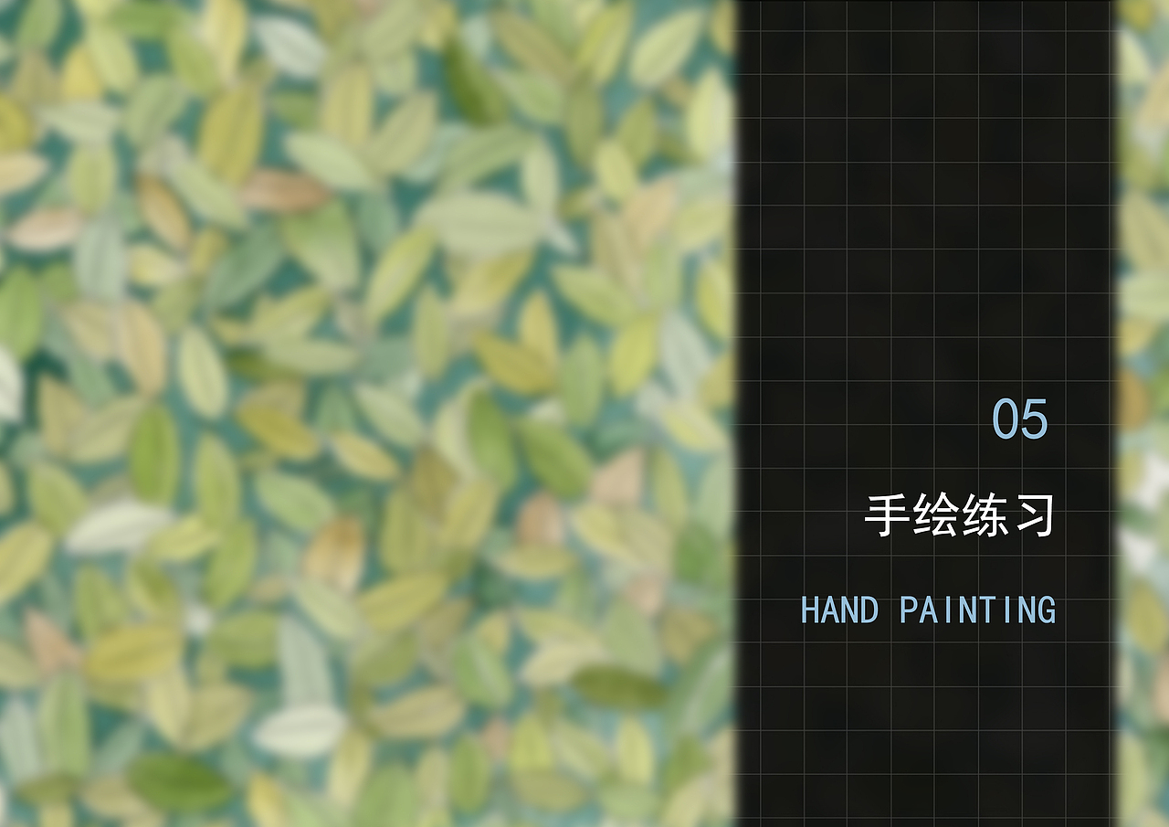 roujuan个人作品集2019