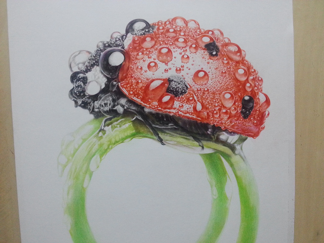 小世界 (微观写实 彩铅画)(图ZMTYzMDc3NTI=) - 绘画 - 站酷设计师许欢原创素材 - 站酷ZCOOL