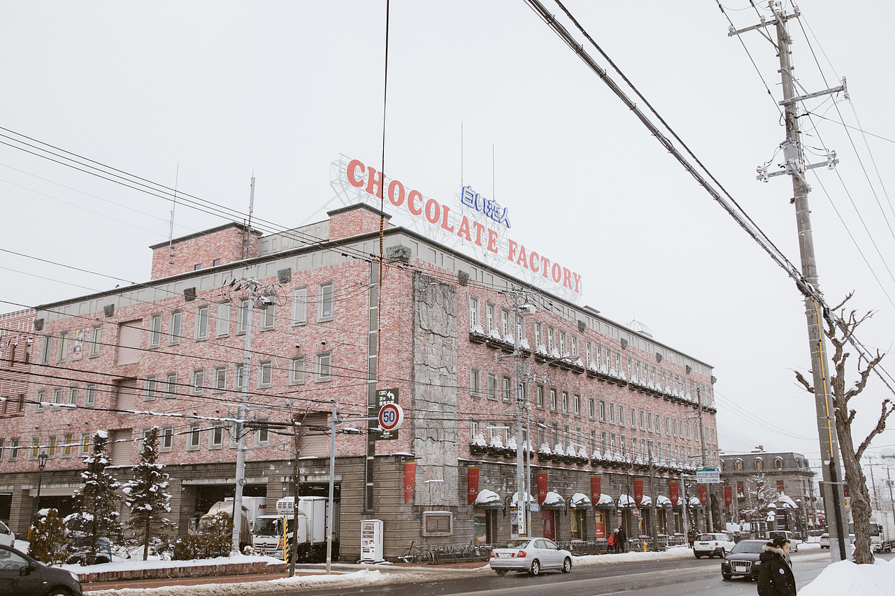 我在北海道滑雪（图ZMTA5Mzk4MTEy） - 短片 - 站酷设计师魏编来了原创素材 - 站酷ZCOOL