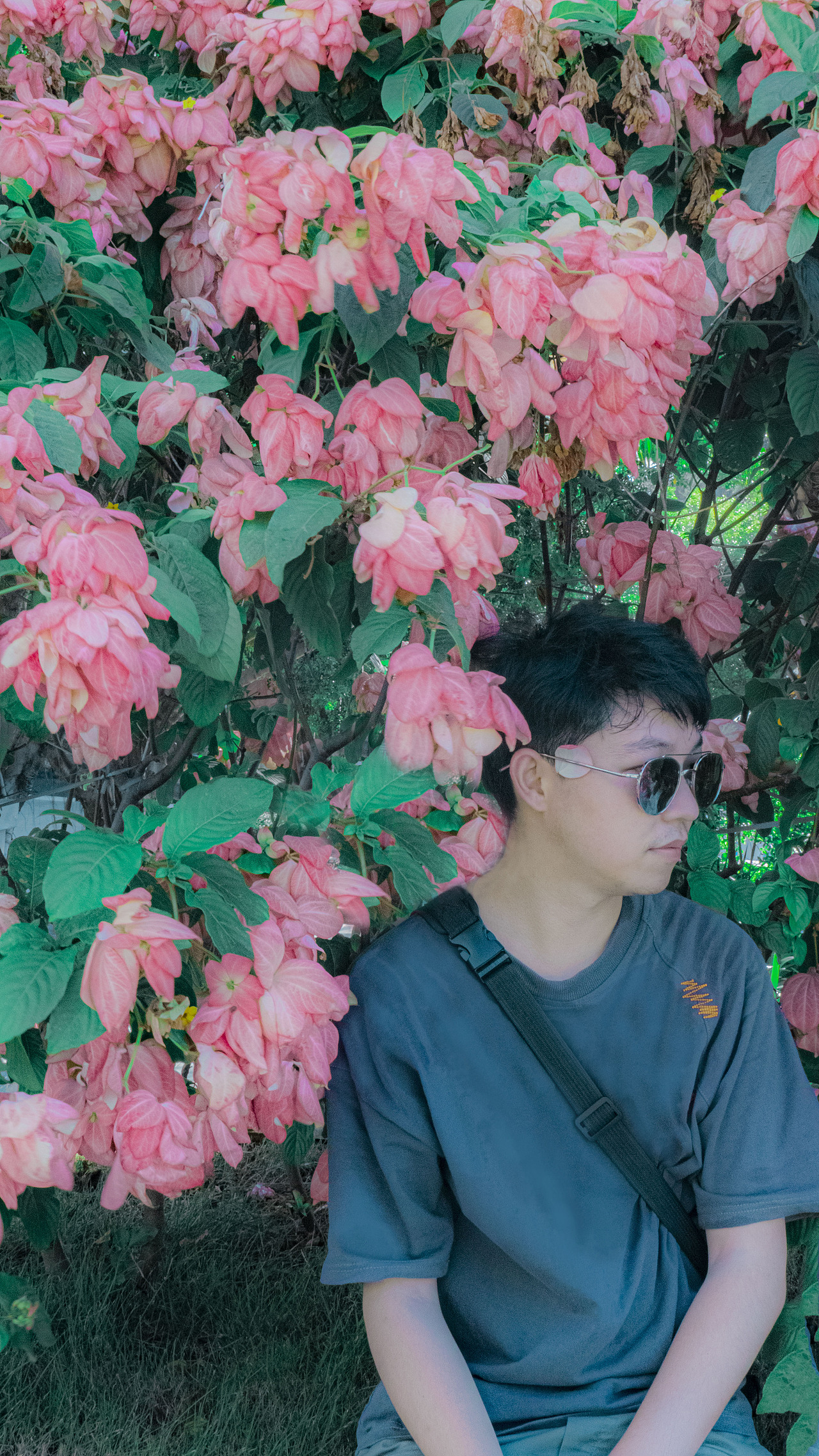 深圳一夏（图ZMjE1MTk0Mzcy） - 人文/纪实摄影 - 站酷设计师榫陋原创素材 - 站酷ZCOOL