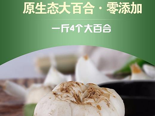 兰州陇卉百合详情页展示（个人主页-ZMjcyODExMzY=） - 电商 - 站酷设计师金城网视原创素材 - 站酷ZCOOL