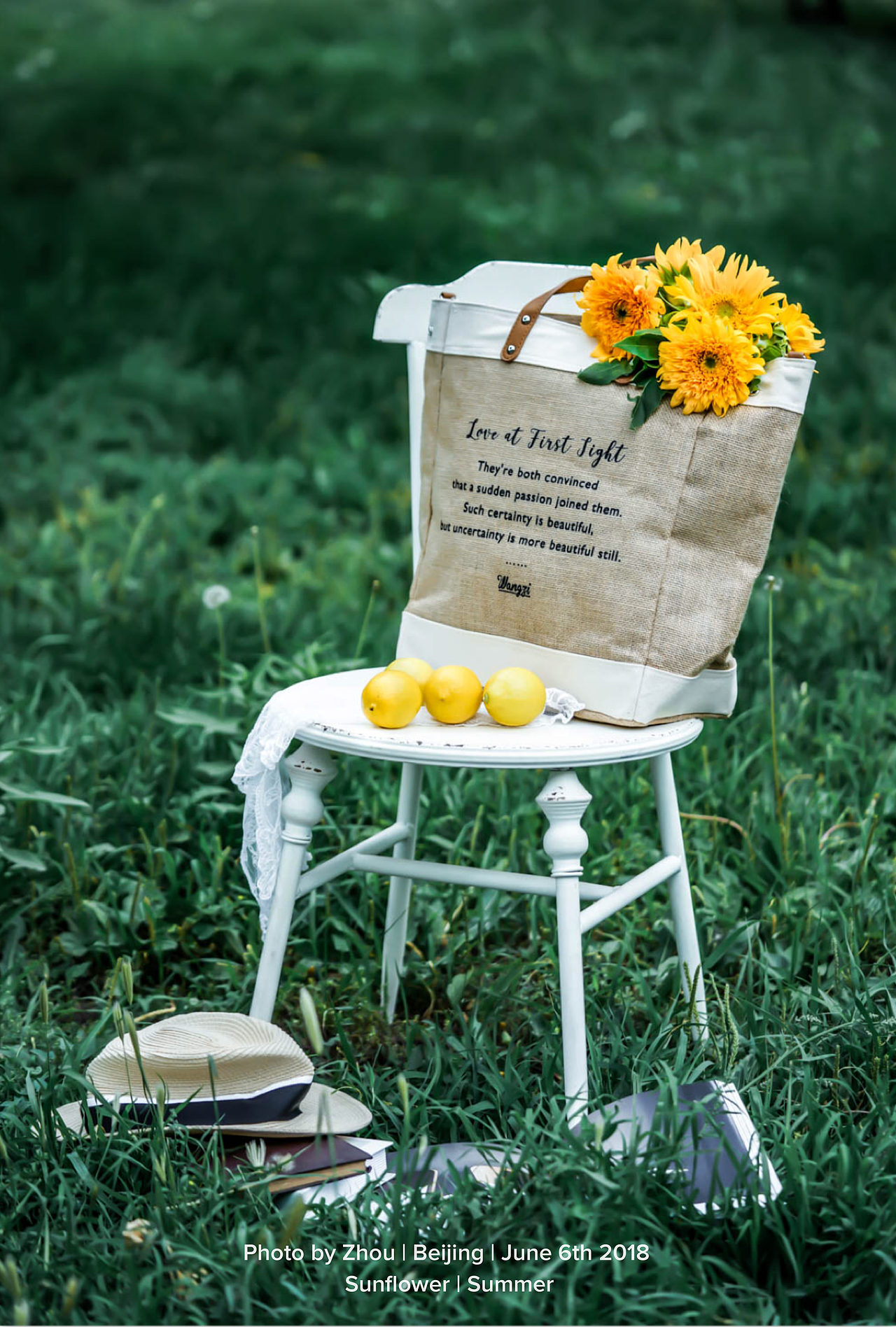 户外拍摄-夏日泰迪向日葵（图ZMTE3ODk2MTQ4） - 产品摄影 - 站酷设计师zhou721原创素材 - 站酷ZCOOL