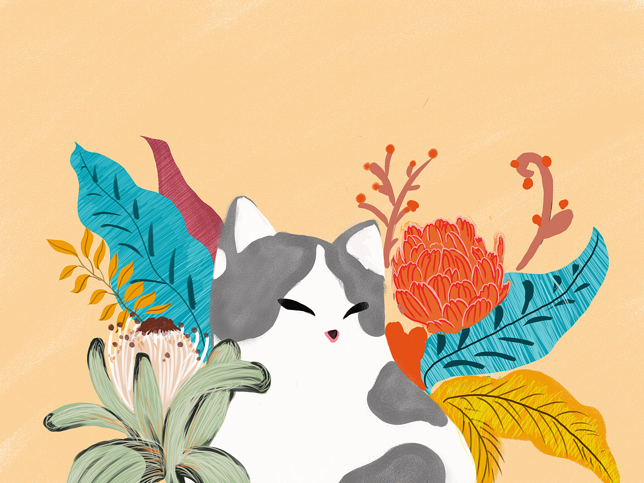 懒猫（图ZMTgzODg3NTY0） - 创作习作 - 站酷设计师一只蜜桃原创素材 - 站酷ZCOOL