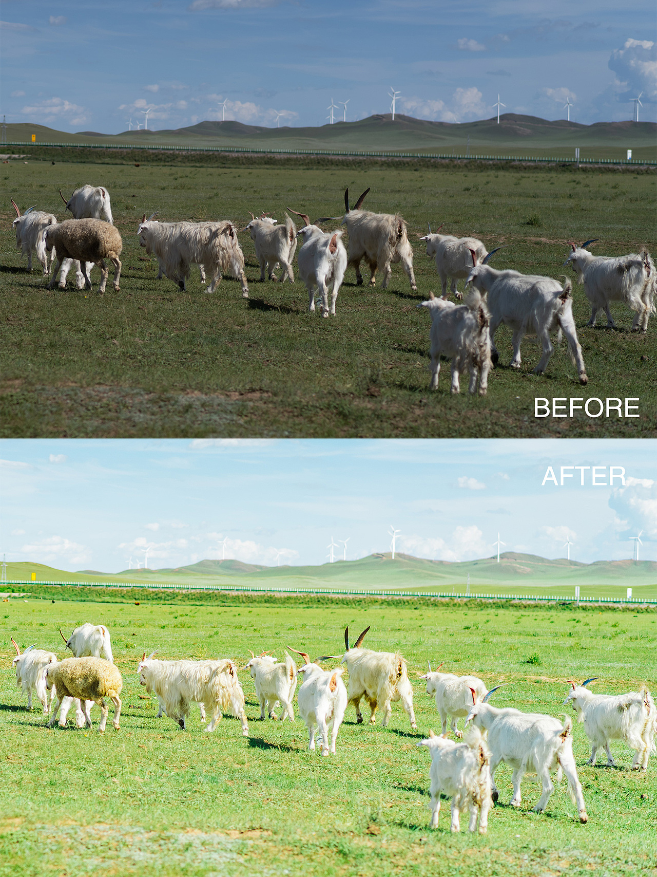 LR调色教程（图ZMjI2MDU4NjAw） - 修图/后期 - 站酷设计师一船长原创素材 - 站酷ZCOOL