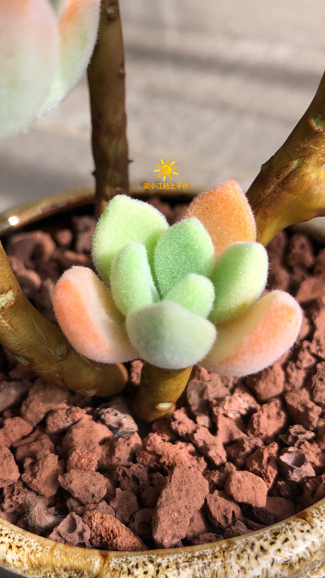 粘土多肉—雪晃星