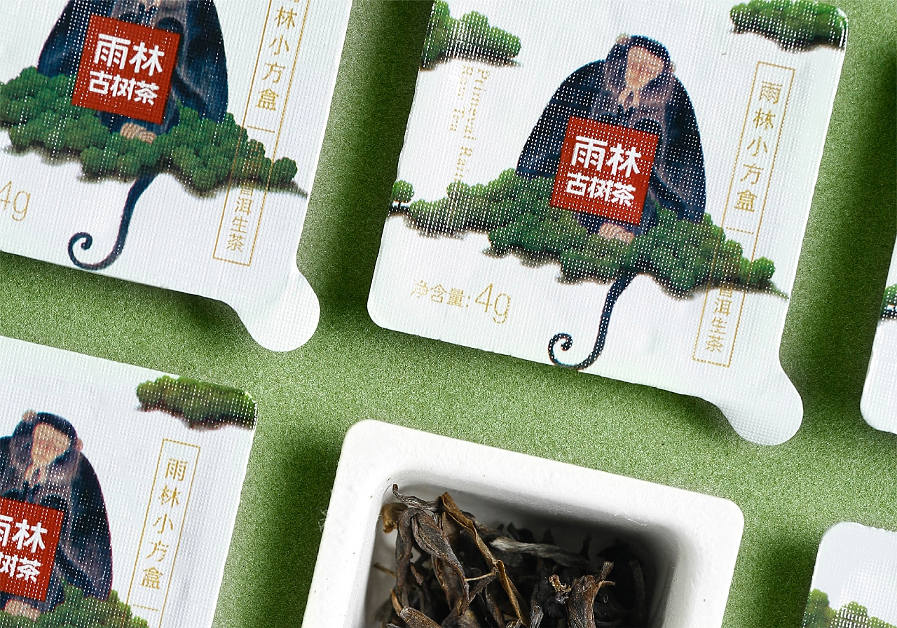把原始雨林搬进茶空间——2019 雨林古树茶·生态茶空间