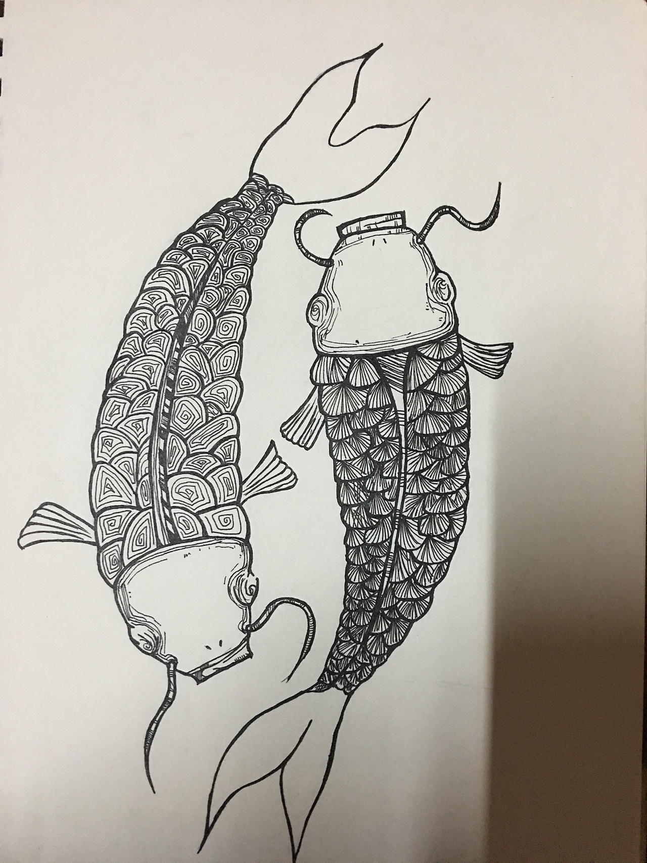 纯手绘锦鲤  年年有鱼 黑白画(临摹 改版)