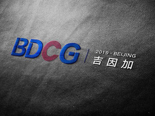 一年一度的公司数据年会 2019BDCG  记录