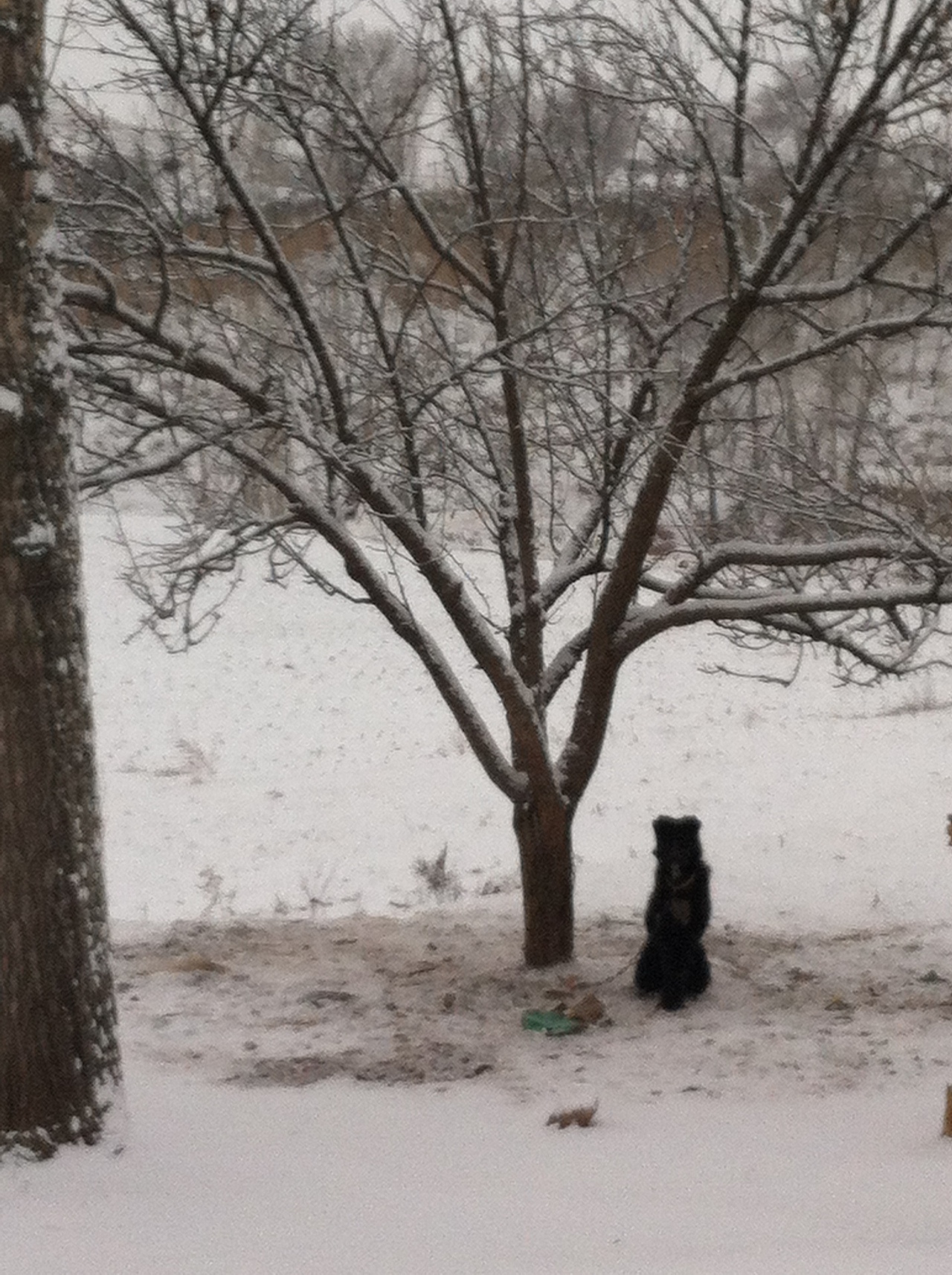 雪后（图ZNDI0NDQwNDg=） - 风光摄影 - 站酷设计师日尧丰色原创素材 - 站酷ZCOOL