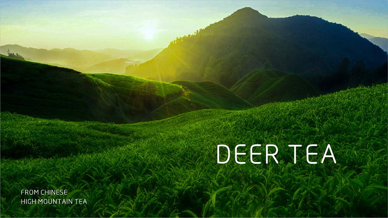 鹿茶品牌设计（图ZMjcwNTY3MzAw） - 品牌 - 站酷设计师申德设计工作室原创素材 - 站酷ZCOOL