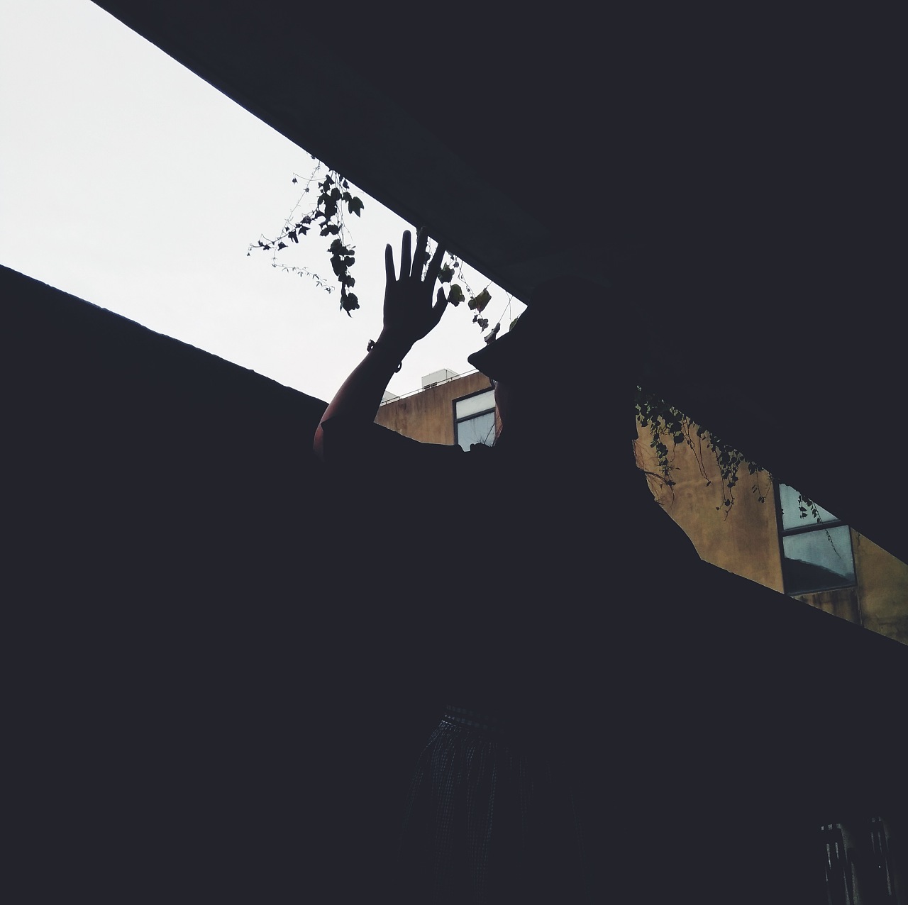 仰角45度 看见不一样的幸福