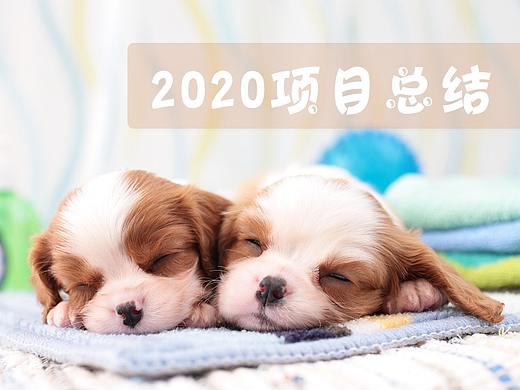 2020项目总结