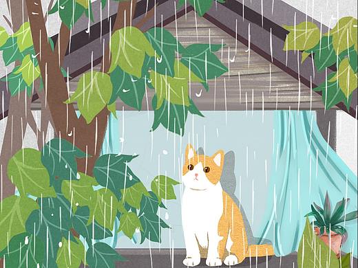 临摹作品，下雨的猫