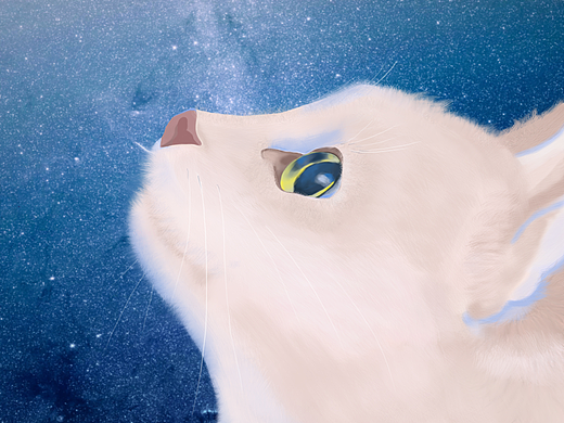 这是一只猫