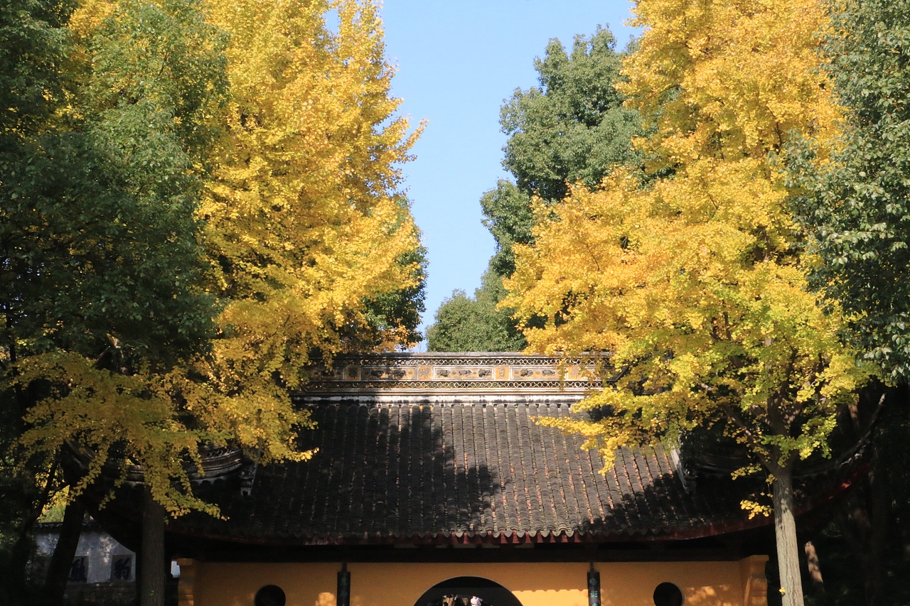 2018摄影作品合集 | 一声惊笛顾白衣