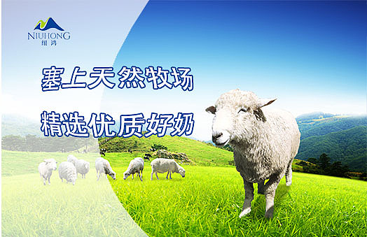 大连纽鸿羊奶（图ZODQ3NDI1MTY=） - 宣传物料 - 站酷设计师小天使1号原创素材 - 站酷ZCOOL