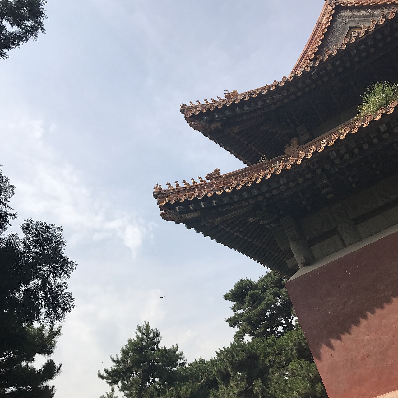 燕（图ZODE5NTc2NDg=） - 风光摄影 - 站酷设计师安迪Bridgette原创素材 - 站酷ZCOOL