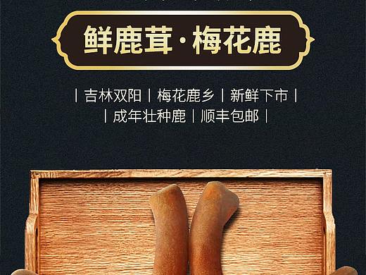 鲜鹿茸鹿茸片 滋补品电商淘宝详情页