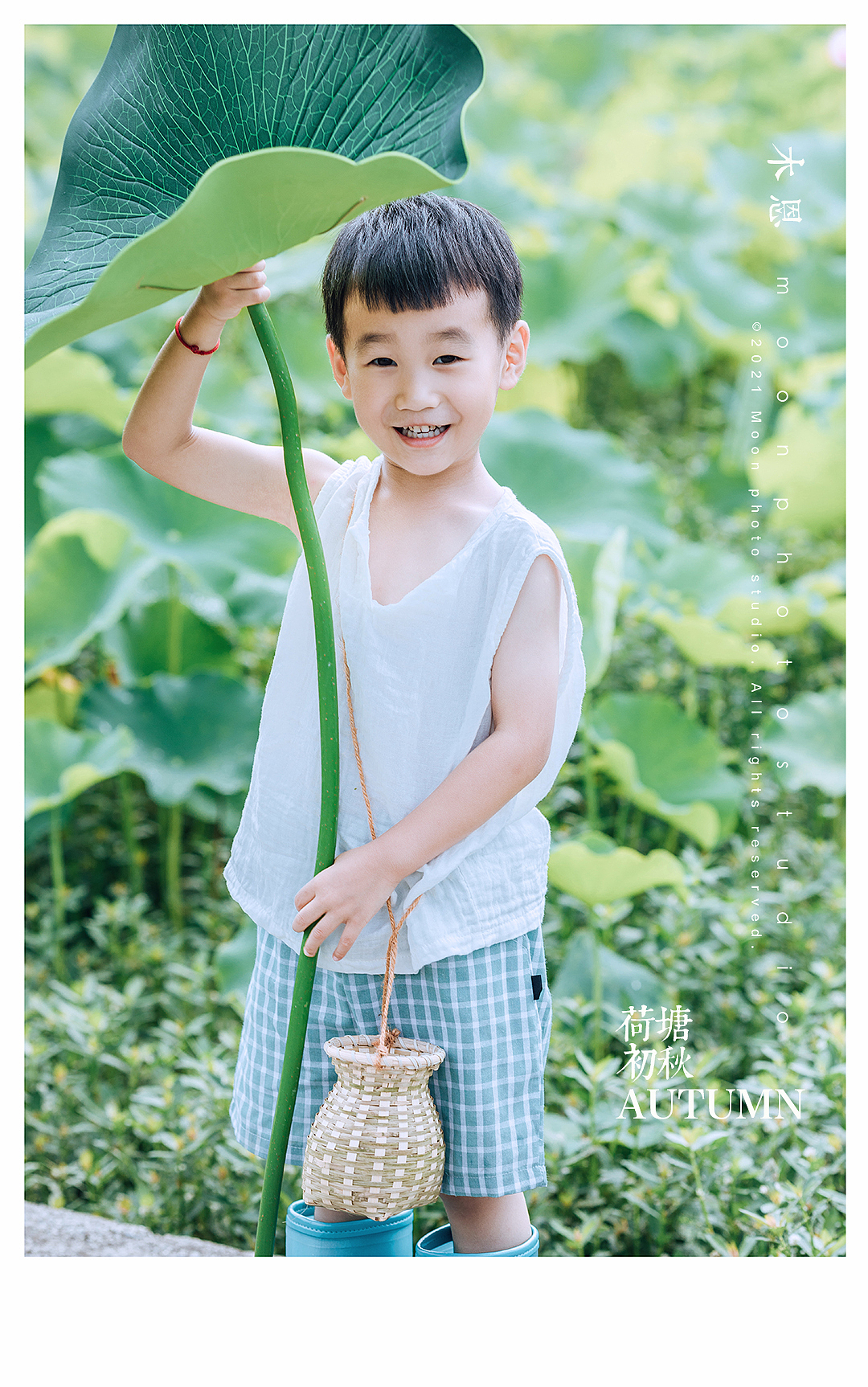 东东的荷塘叶色