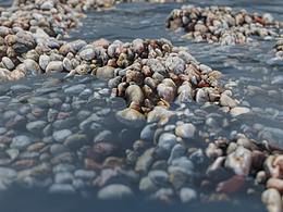 Blender作品，小溪流水~~