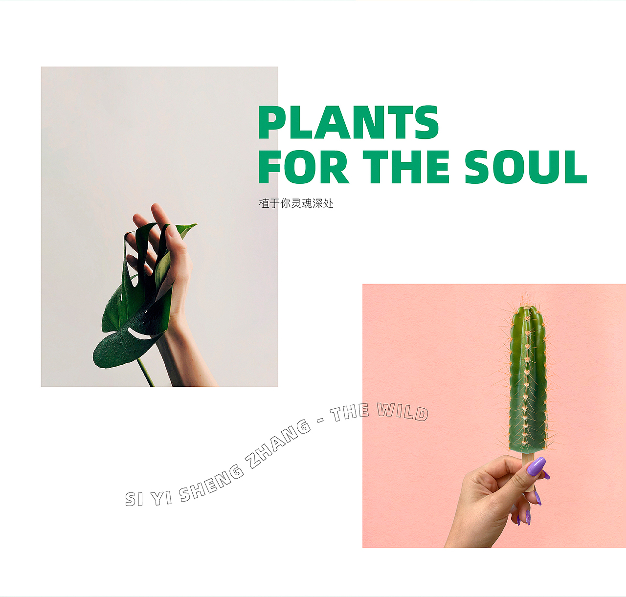 品牌设计（图ZMjI4MjY2NzIw） - 品牌 - 站酷设计师子博设计原创素材 - 站酷ZCOOL