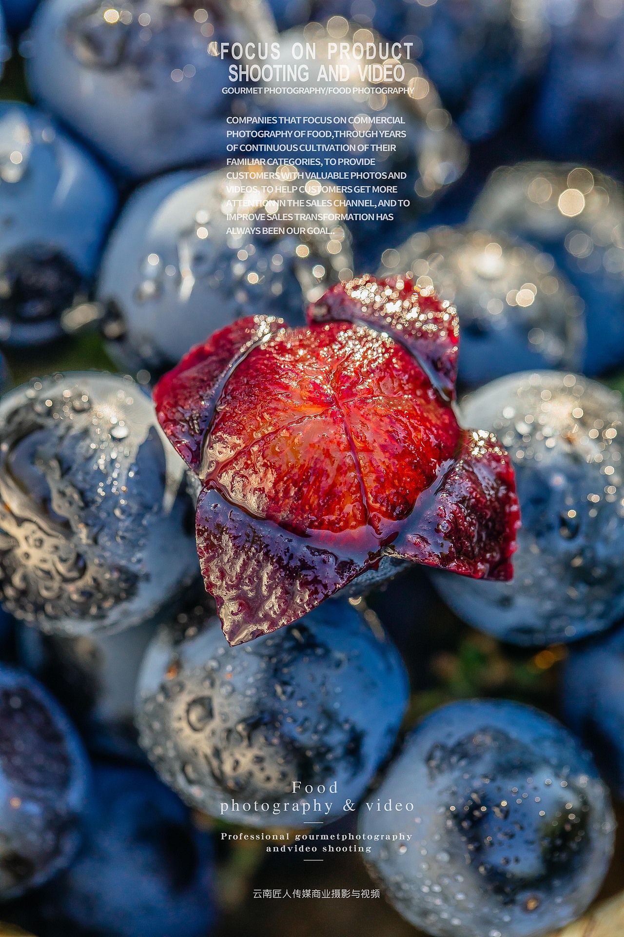 葡萄拍摄（图ZMjYxNzkxOTUy） - 产品摄影 - 站酷设计师匠人商业拍摄原创素材 - 站酷ZCOOL