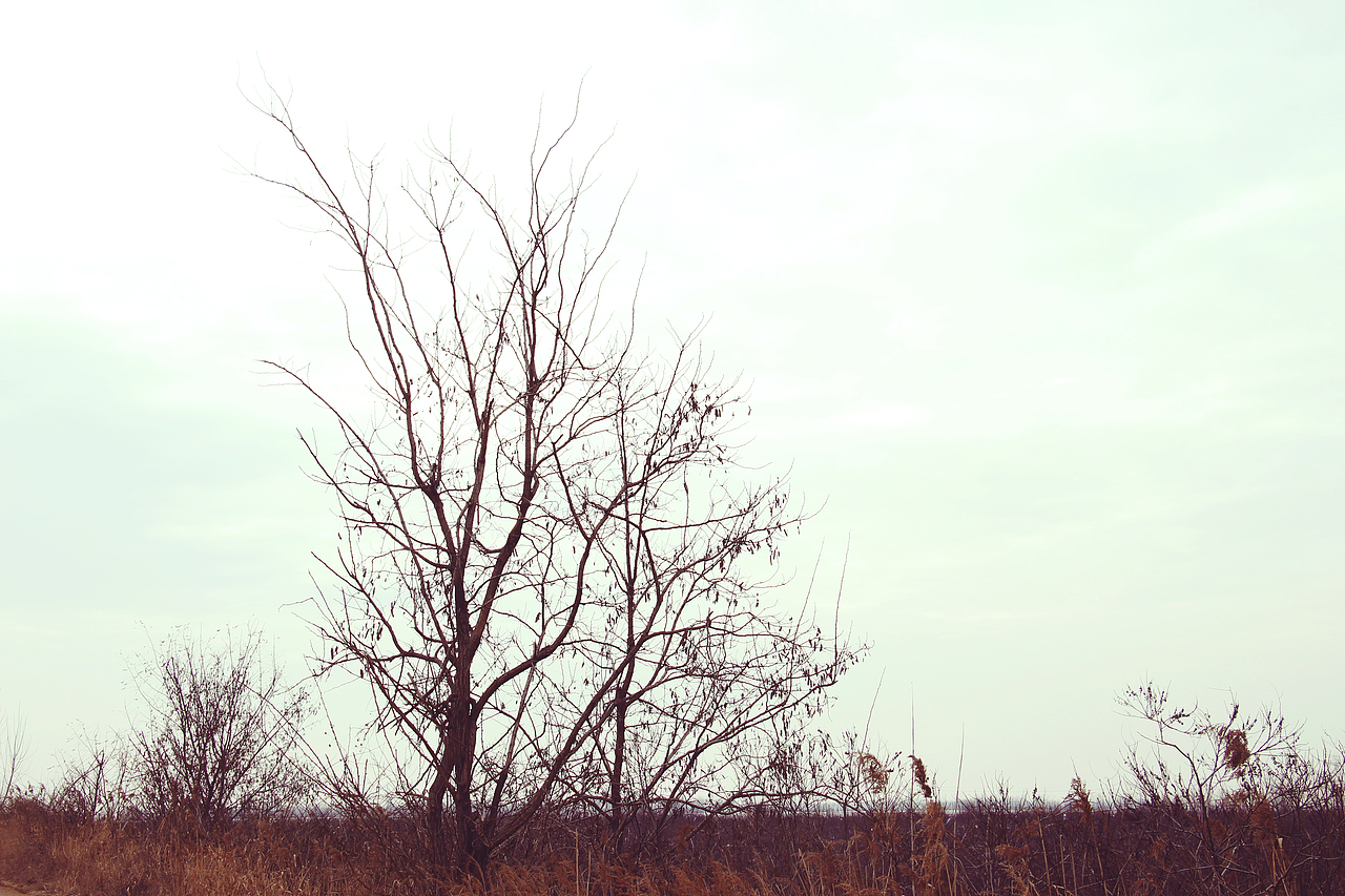 2022，好像拍了，又好像没拍...（图ZMzI1MTgwMzk2） - 其他摄影 - 站酷设计师诗云品牌原创素材 - 站酷ZCOOL