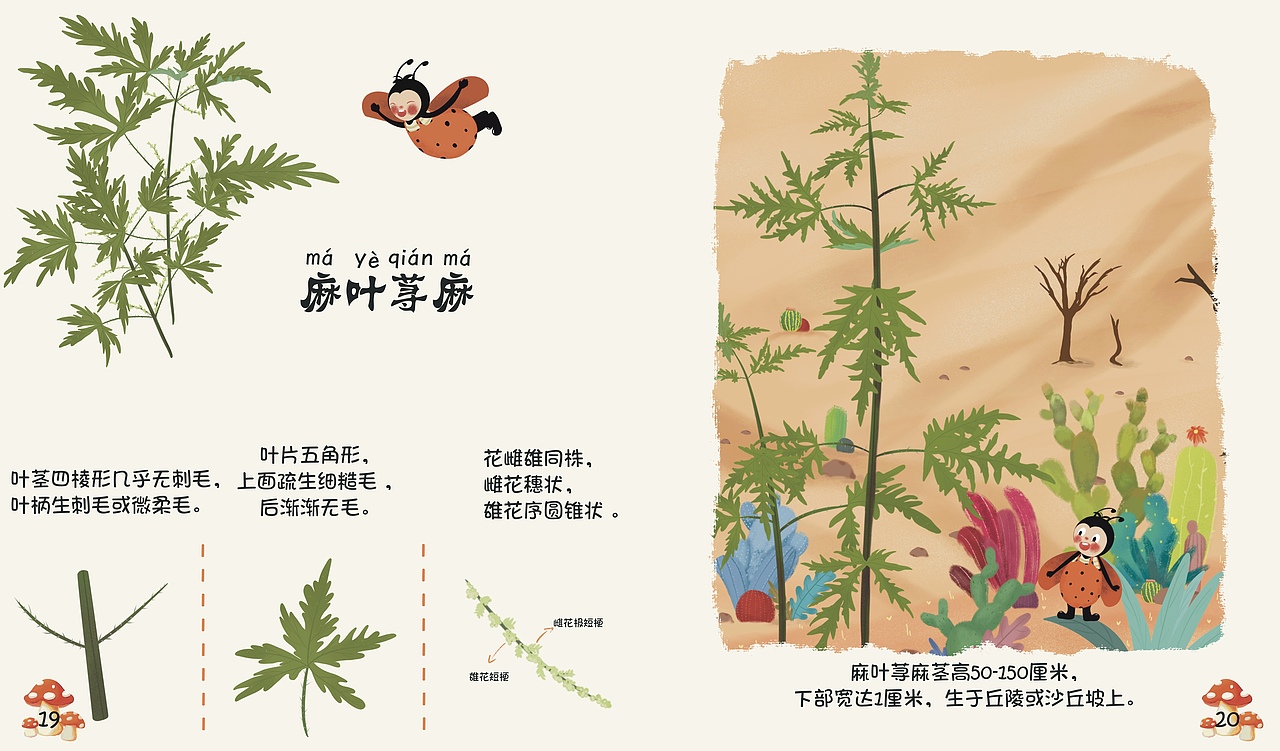 科普绘本：《嗨！荨麻》（图ZMzMwMDMwMTg4） - 绘本 - 站酷设计师BuGui不归原创素材 - 站酷ZCOOL