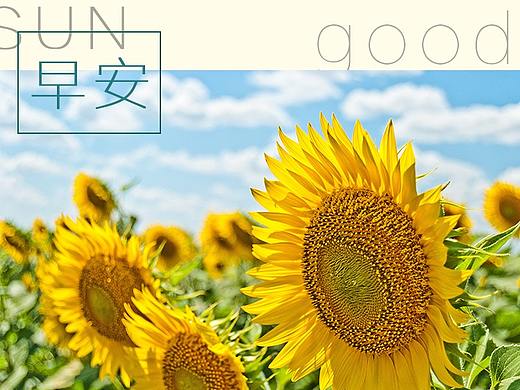 早安，商城朋友圈早安日签