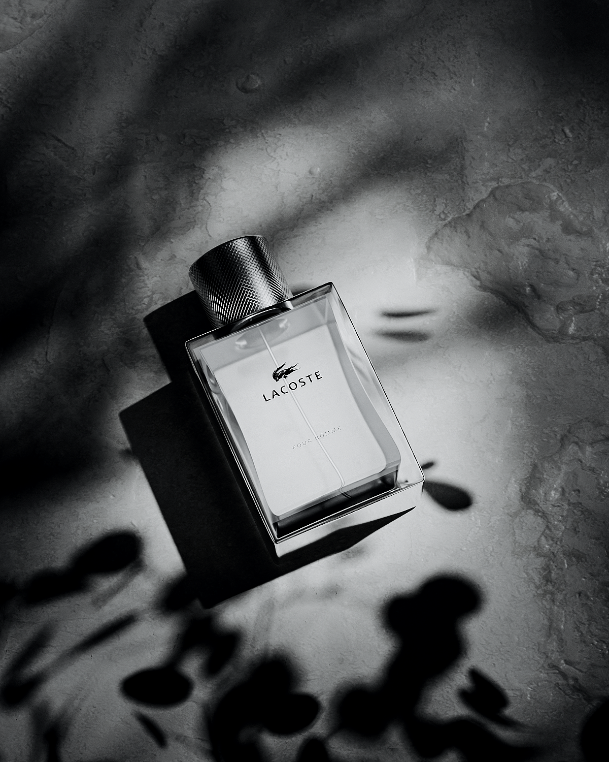 C4D光影大师 静态渲染班——第三周作业