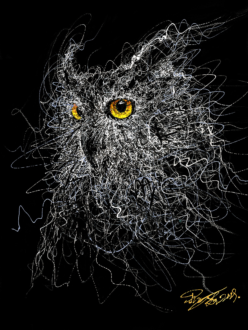 飞线涂鸦2019创作合辑 | 丁文尧