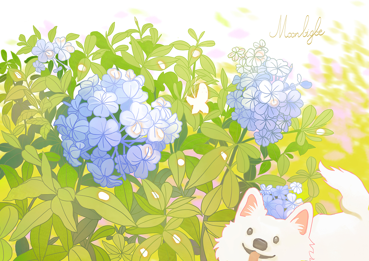 花草日记（图ZMjY4Mzk1NjQ4） - 创作习作 - 站酷设计师月亮光光原创素材 - 站酷ZCOOL