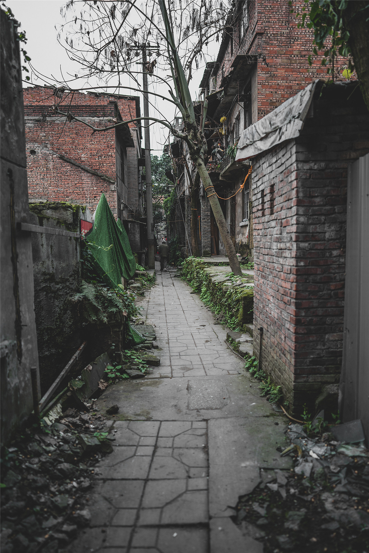 弹子石老街-重庆