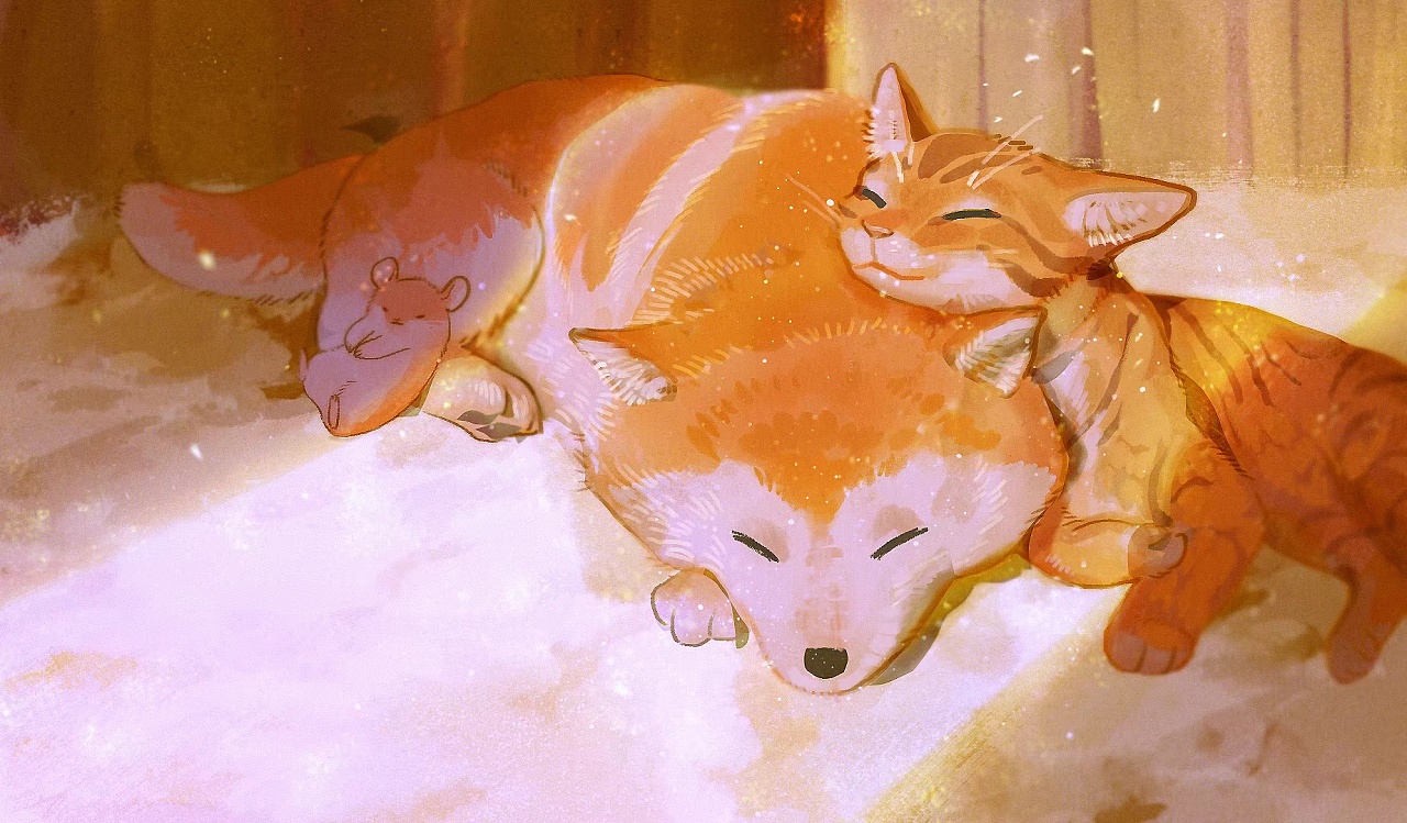 柴犬x 橘猫 x 布丁