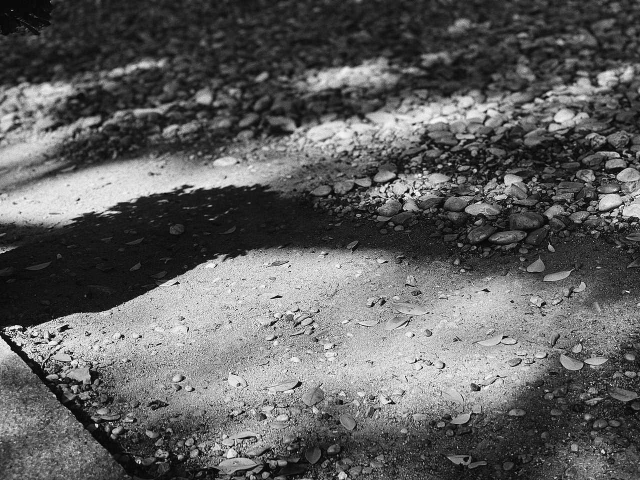 手机摄影-泉州开元寺