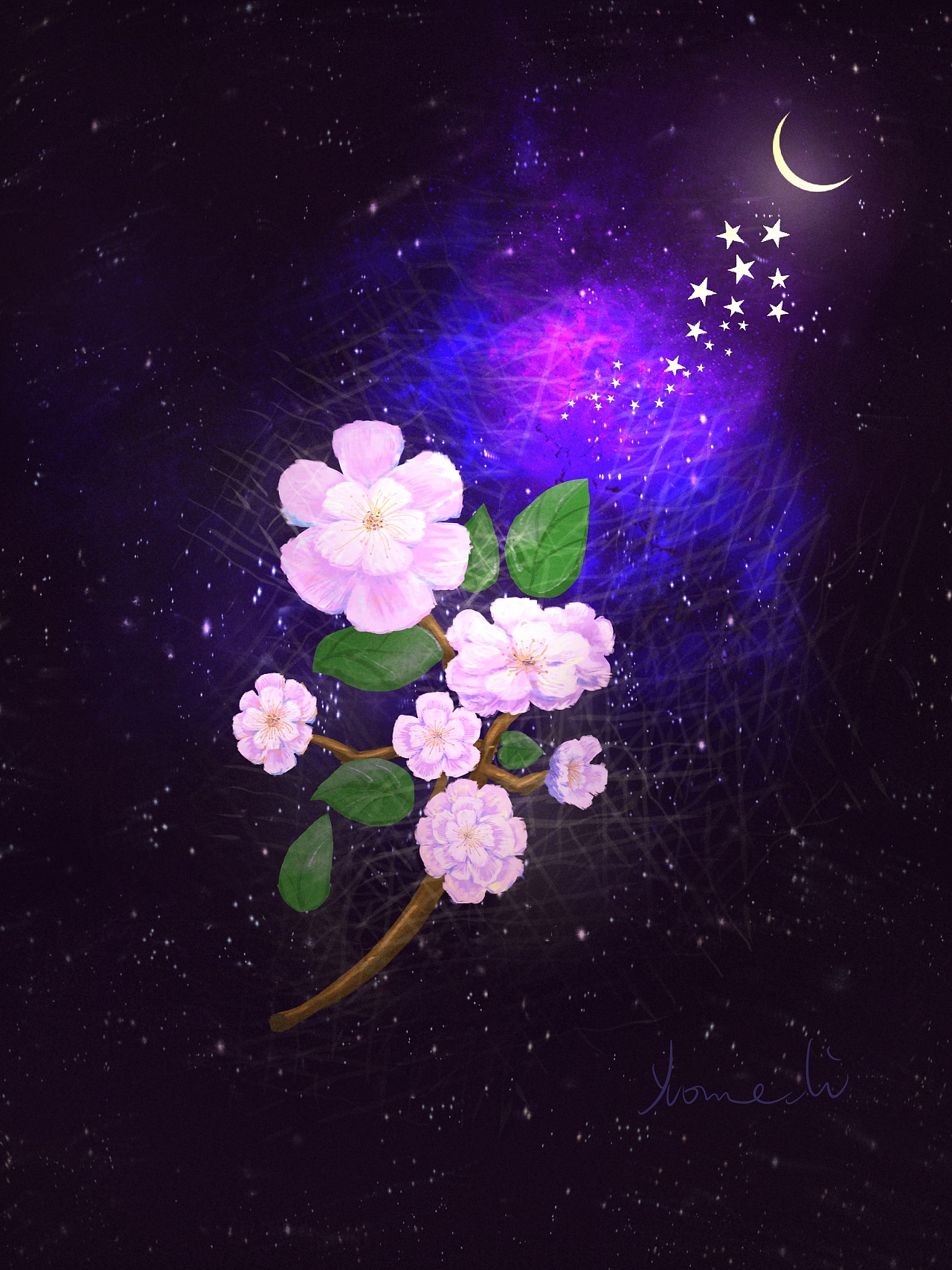 满天的星 颗颗说是永远的春花 东墙上海棠