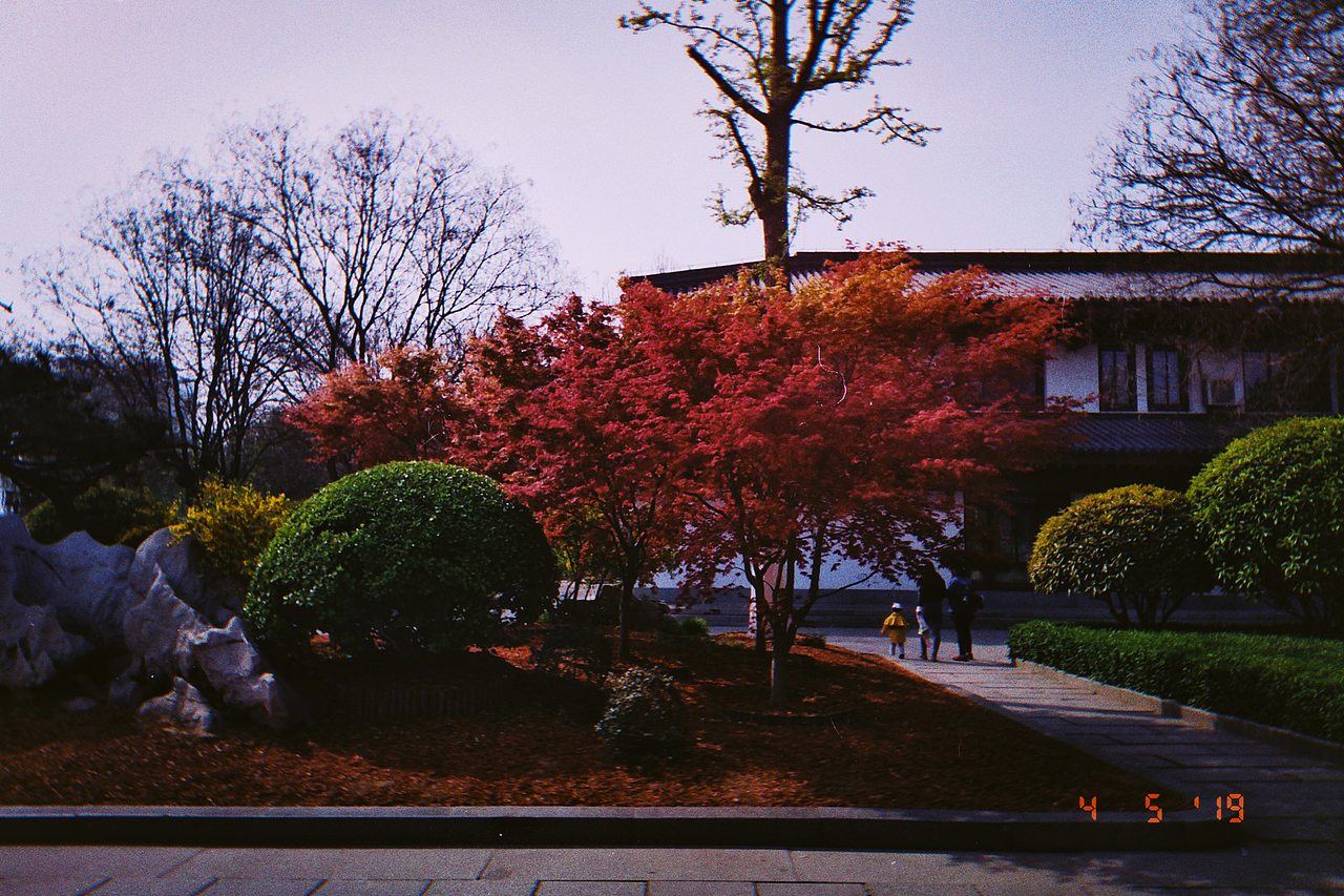 想要看春天的雨漫（圖ZMTUzNzQ1MDIw） - 人文/紀(jì)實(shí)攝影 - 站酷設(shè)計(jì)師張張張張張瘋子原創(chuàng)素材 - 站酷ZCOOL